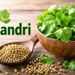 Koriandri