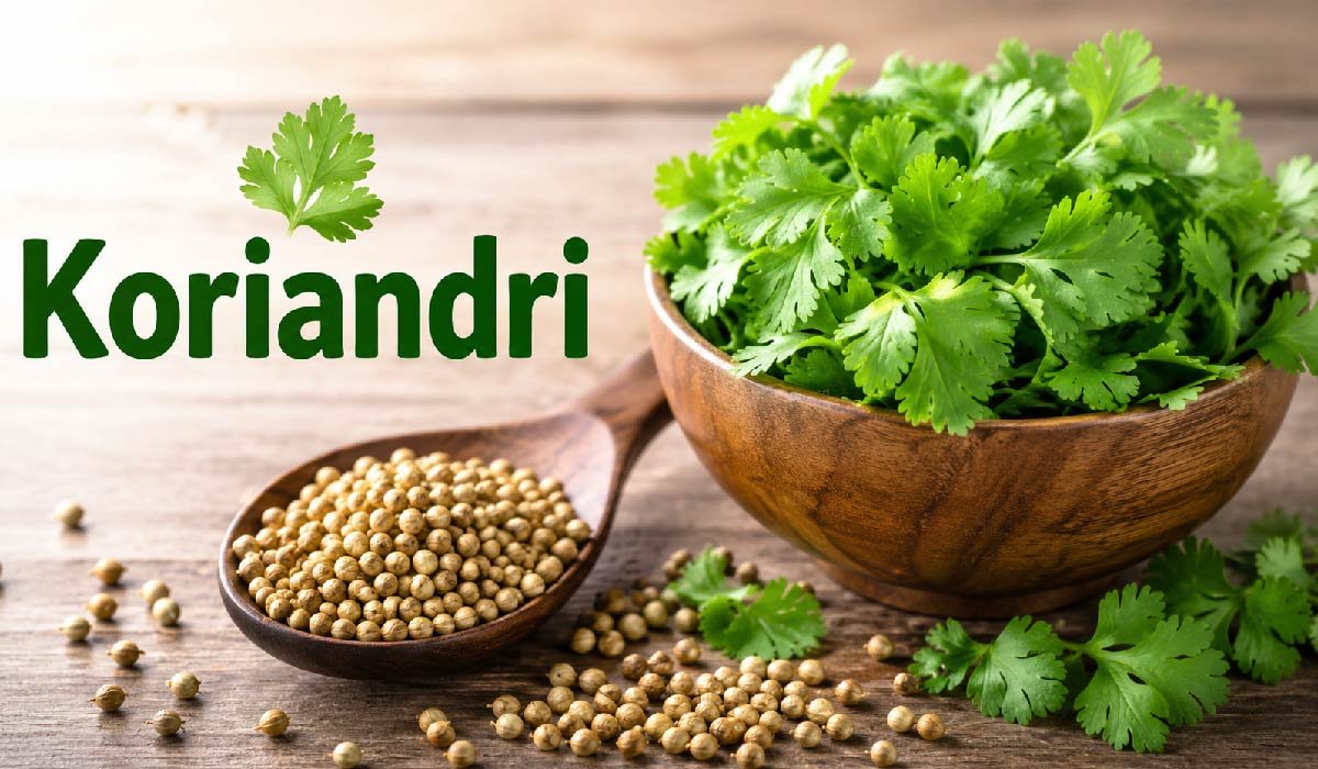 Koriandri